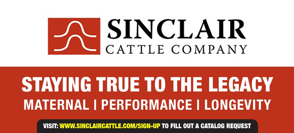 Sinclair Cattle Co